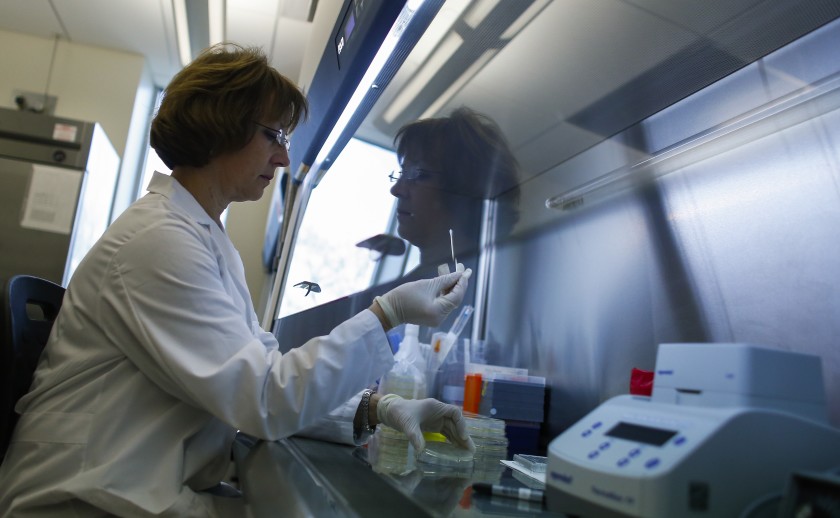 Para Peneliti Berharap Mampu Meningkatkan Prediksi Epidemi di Masa Depan